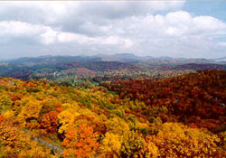 mountain property for sale in nc mountains